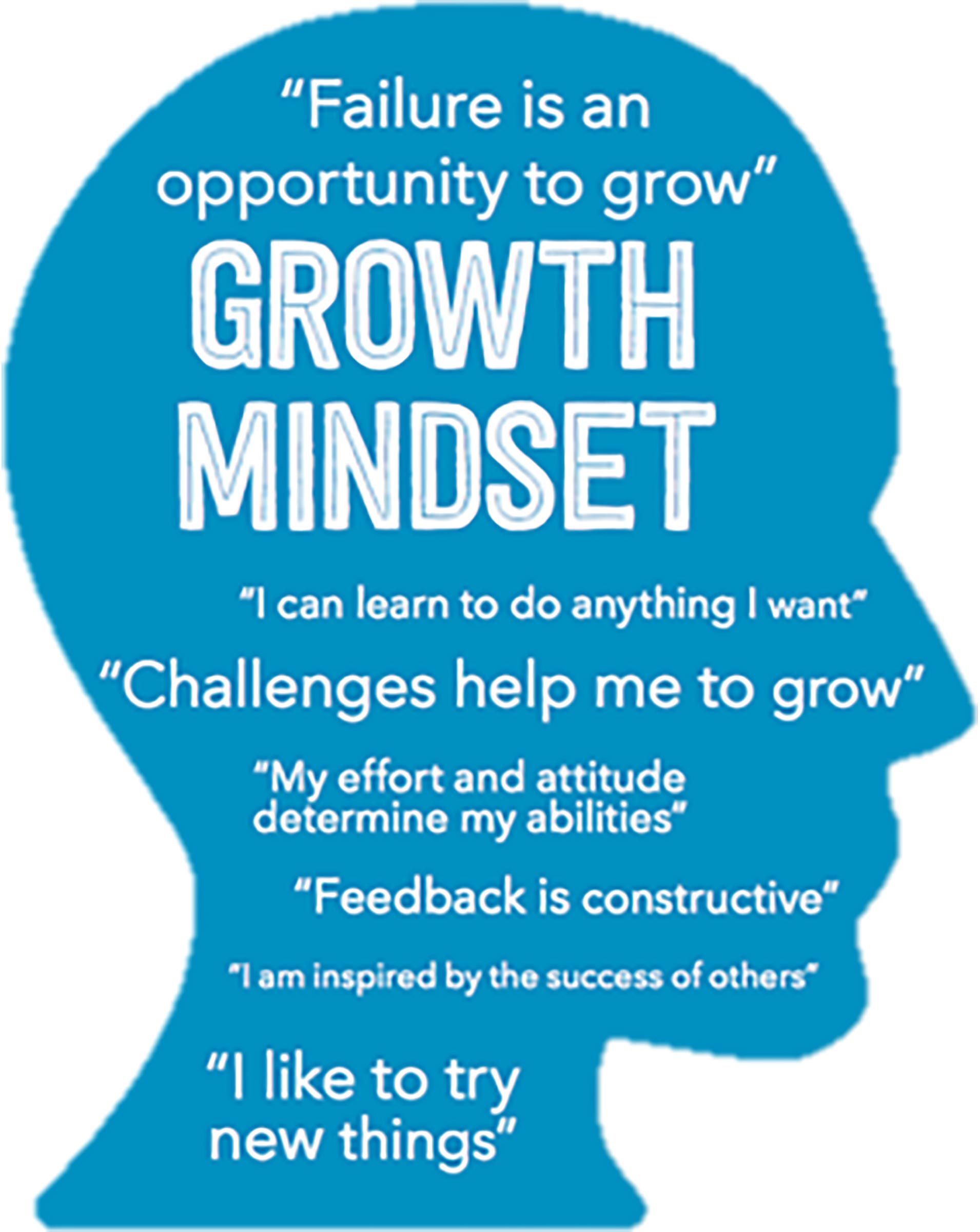 Growth Mindset and the Power of Yet (2) Blog by Carmel New Church School