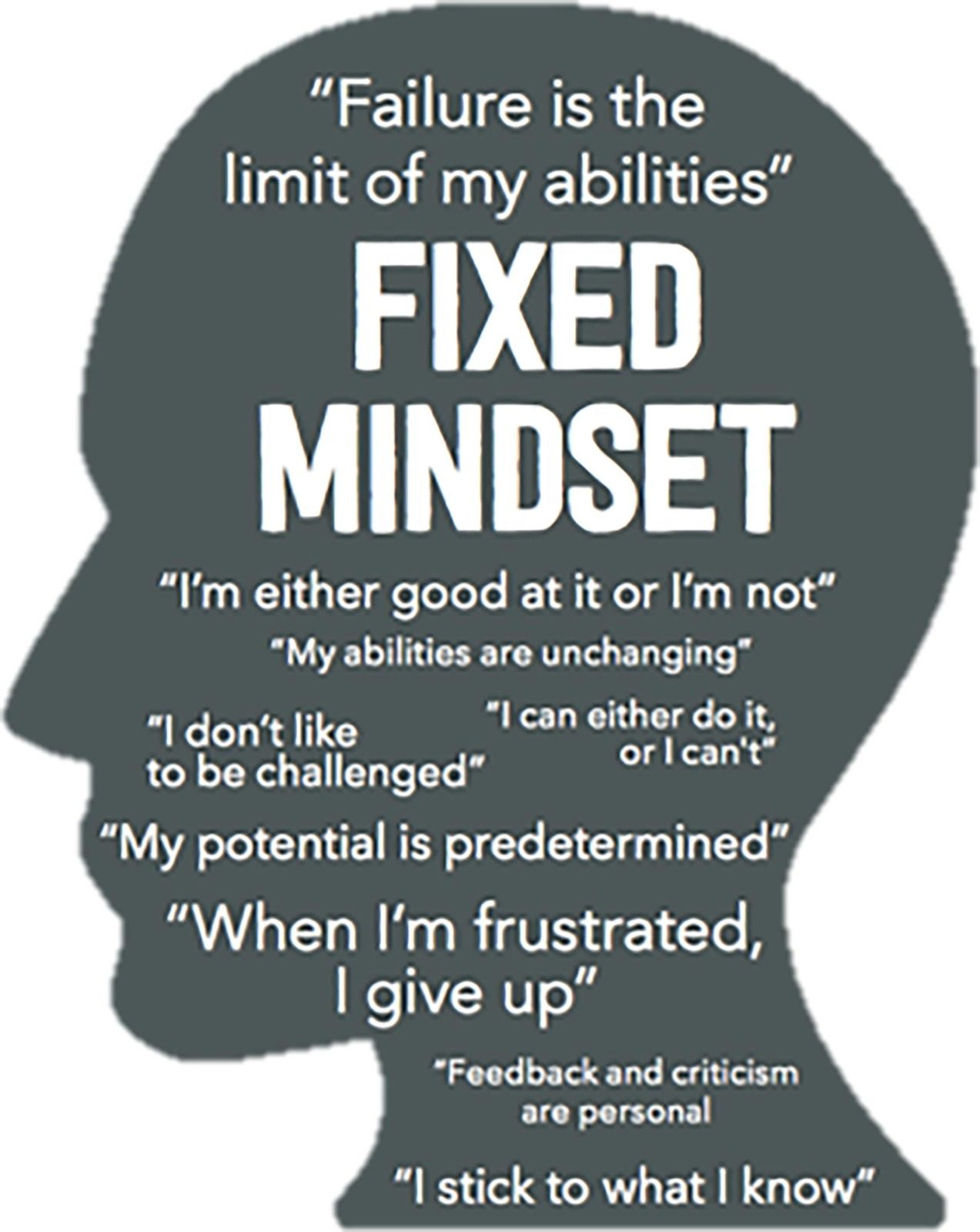 Growth Mindset and the Power of Yet (1) Blog by Carmel New Church School