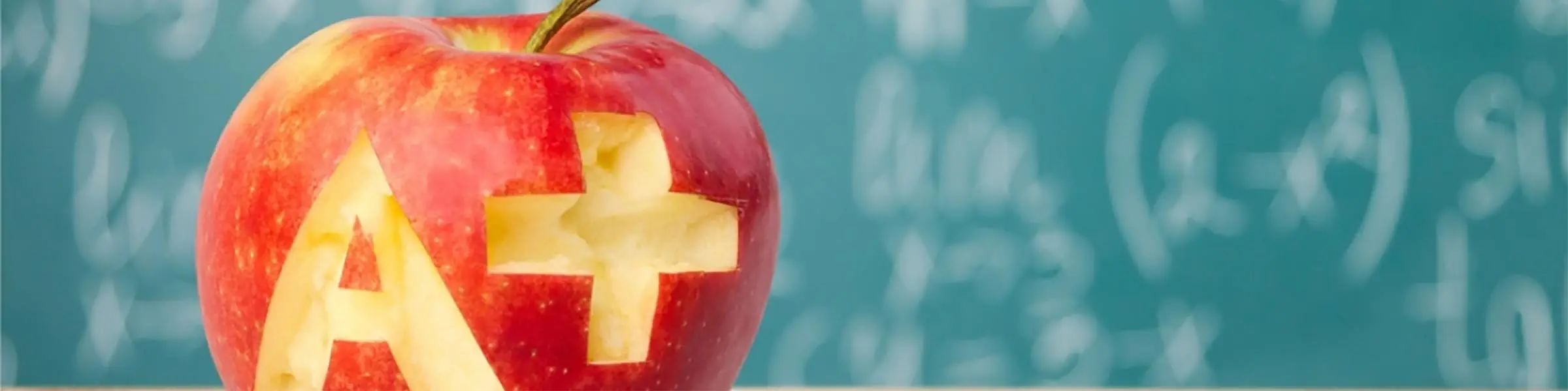 Interpreting Your Child's Report Card and Taking Action Blog by Carmel New Church School
